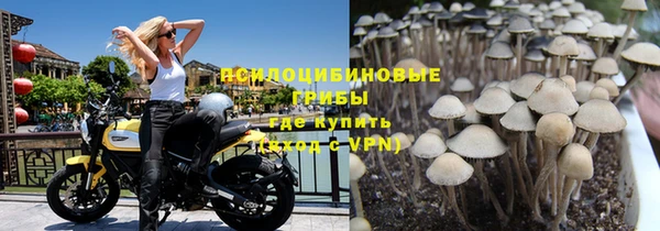 MESCALINE Аркадак